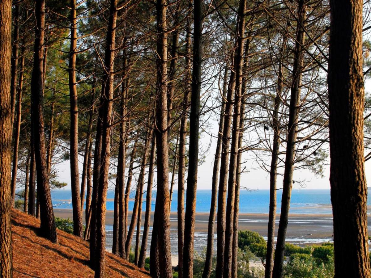 Arcachon Centre : Charmant T2 Avec Loggia, Parking Securise Et Proche Plage - Fr-1-420-61 외부 사진